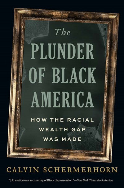 The Plunder of Black America: How the Racial Wealth Gap Was Made