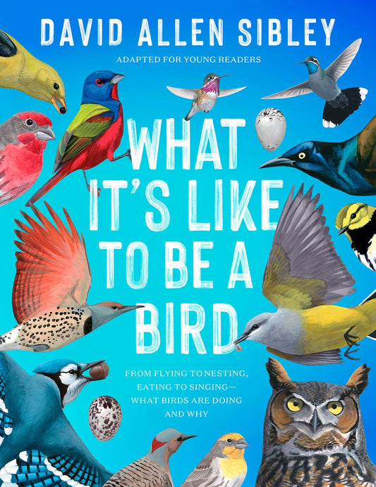 What Its Like to Be a Bird (Adapted for Young Readers)
