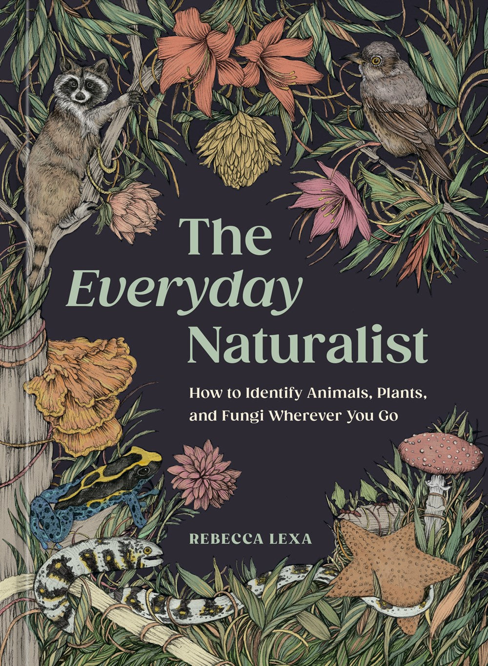 The Everyday Naturalist : How to Identify Animals, Plants, and Fungi Wherever You Go
