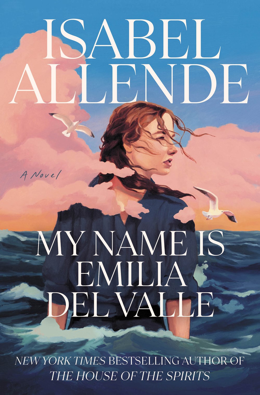 My Name Is Emilia del Valle : A Novel
