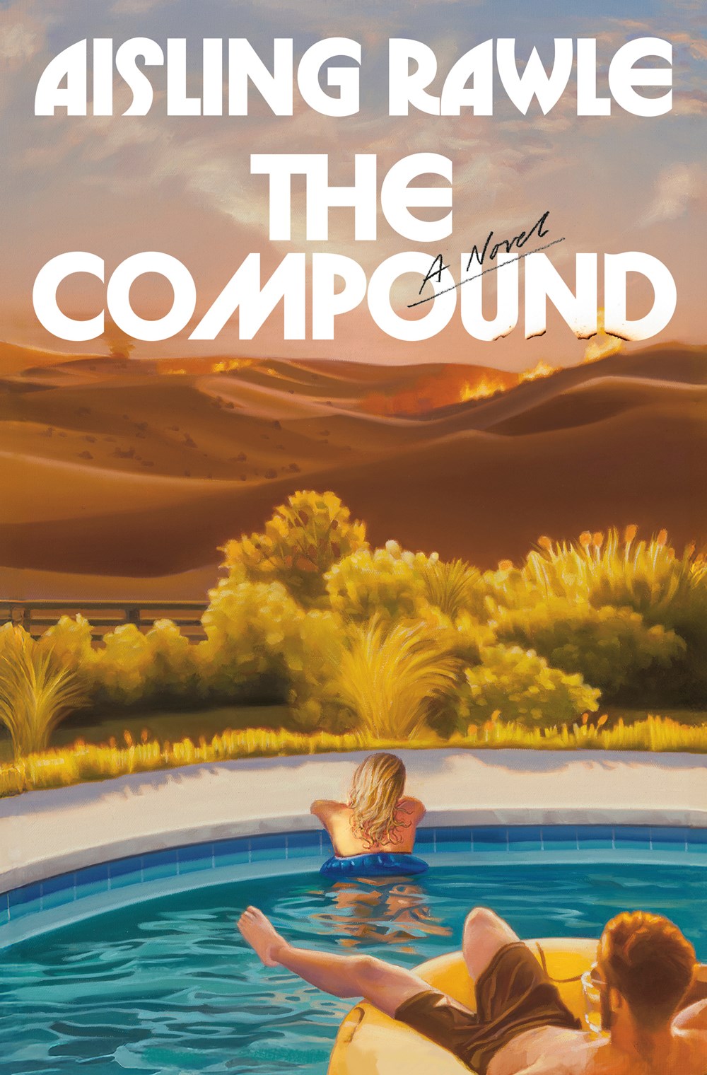 The Compound : A Novel