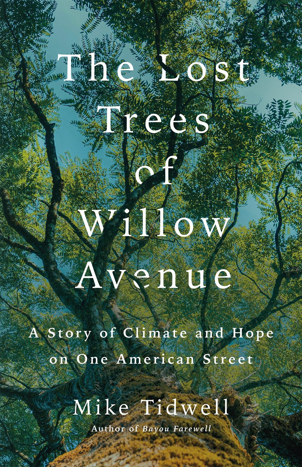 The Lost Trees of Willow Avenue : A Story of Climate and Hope on One American Street