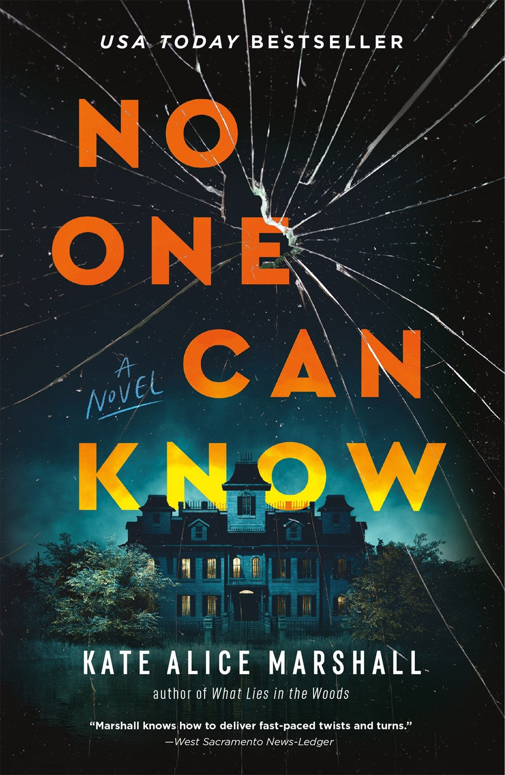 No One Can Know : A Novel