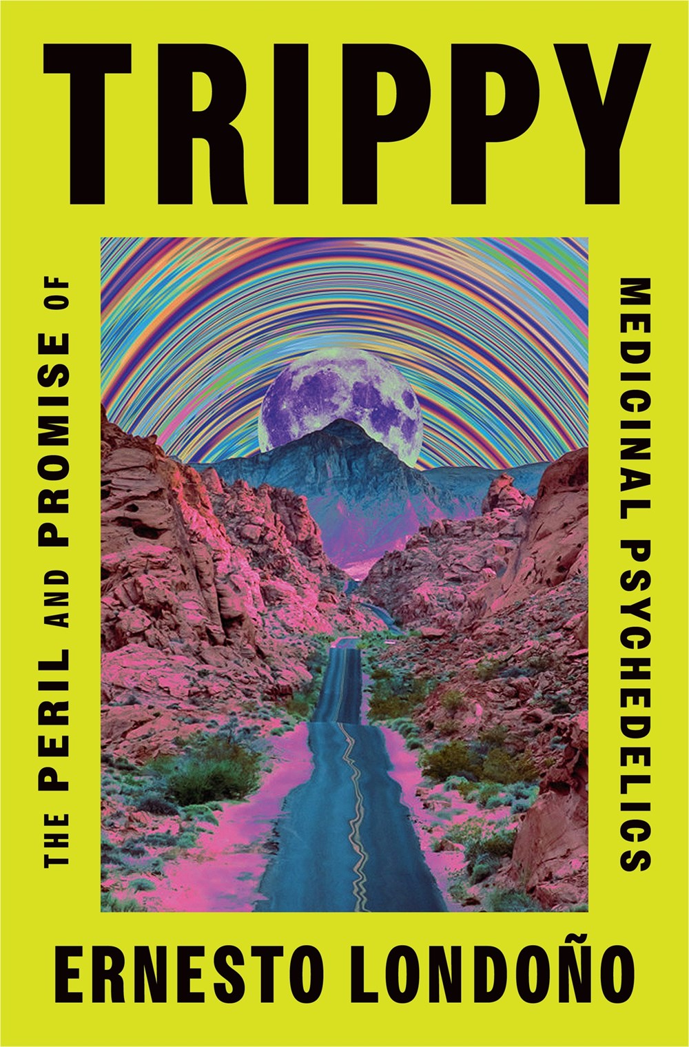 Trippy : The Peril and Promise of Medicinal Psychedelics (Paperback Edition)