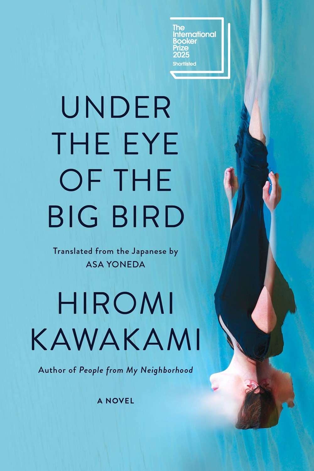 Under the Eye of the Big Bird : A Novel