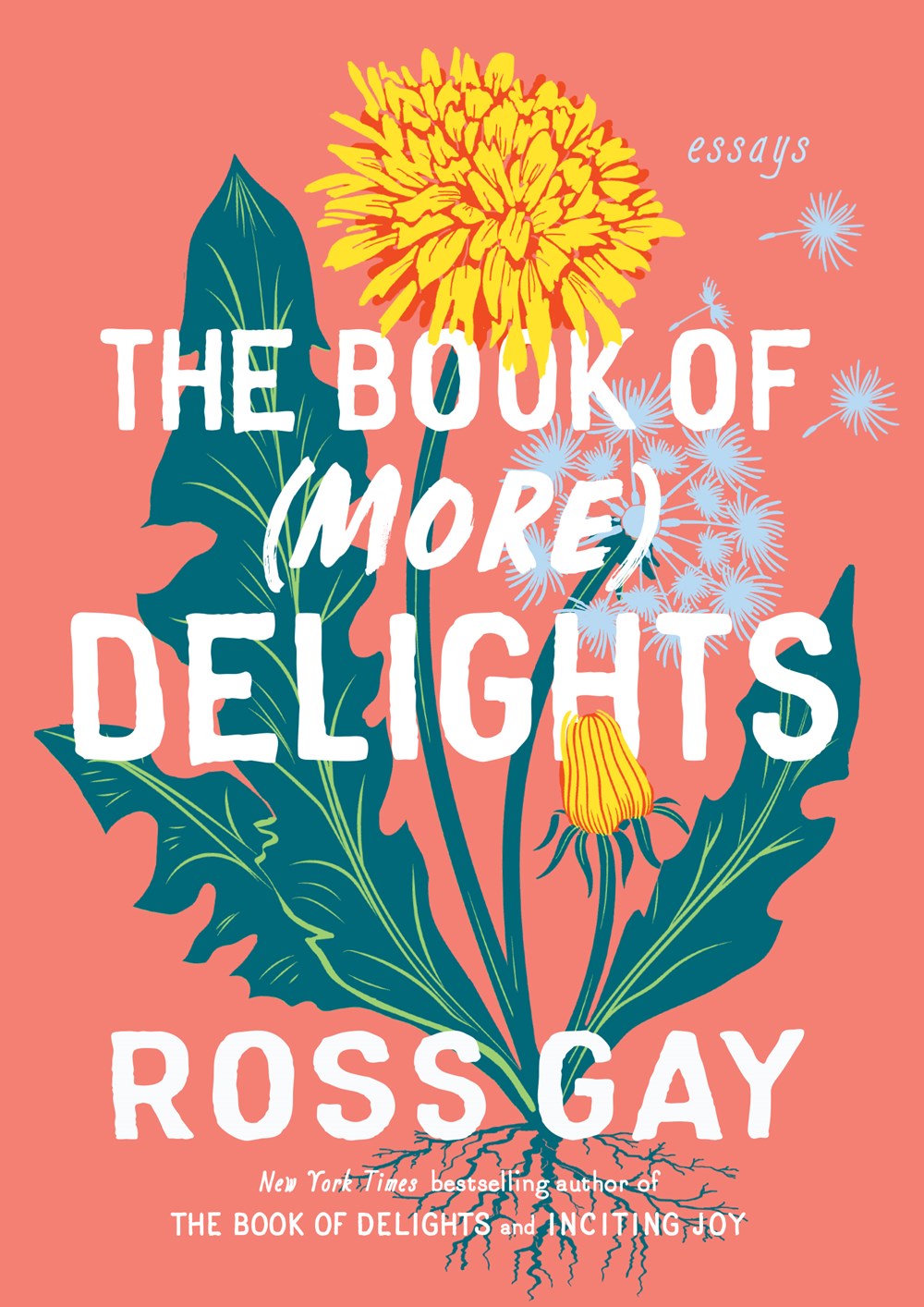 The Book of (More) Delights : Essays