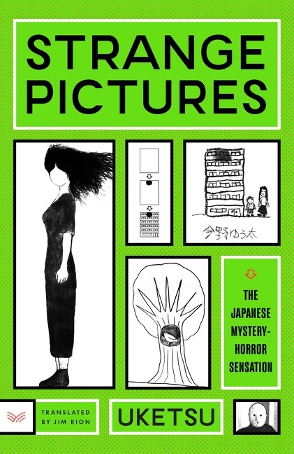 Strange Pictures : A Novel