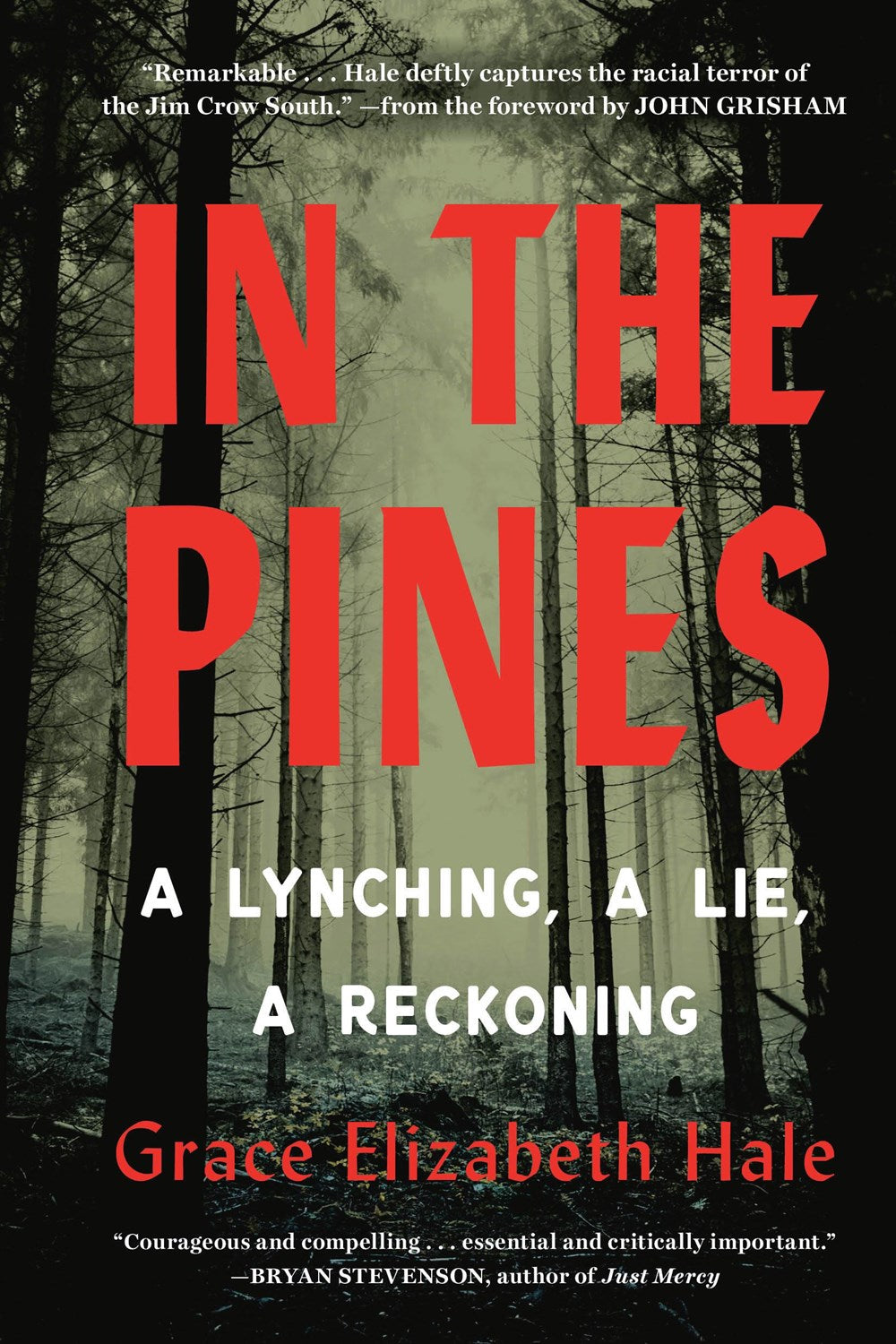 In the Pines : A Lynching, A Lie, A Reckoning