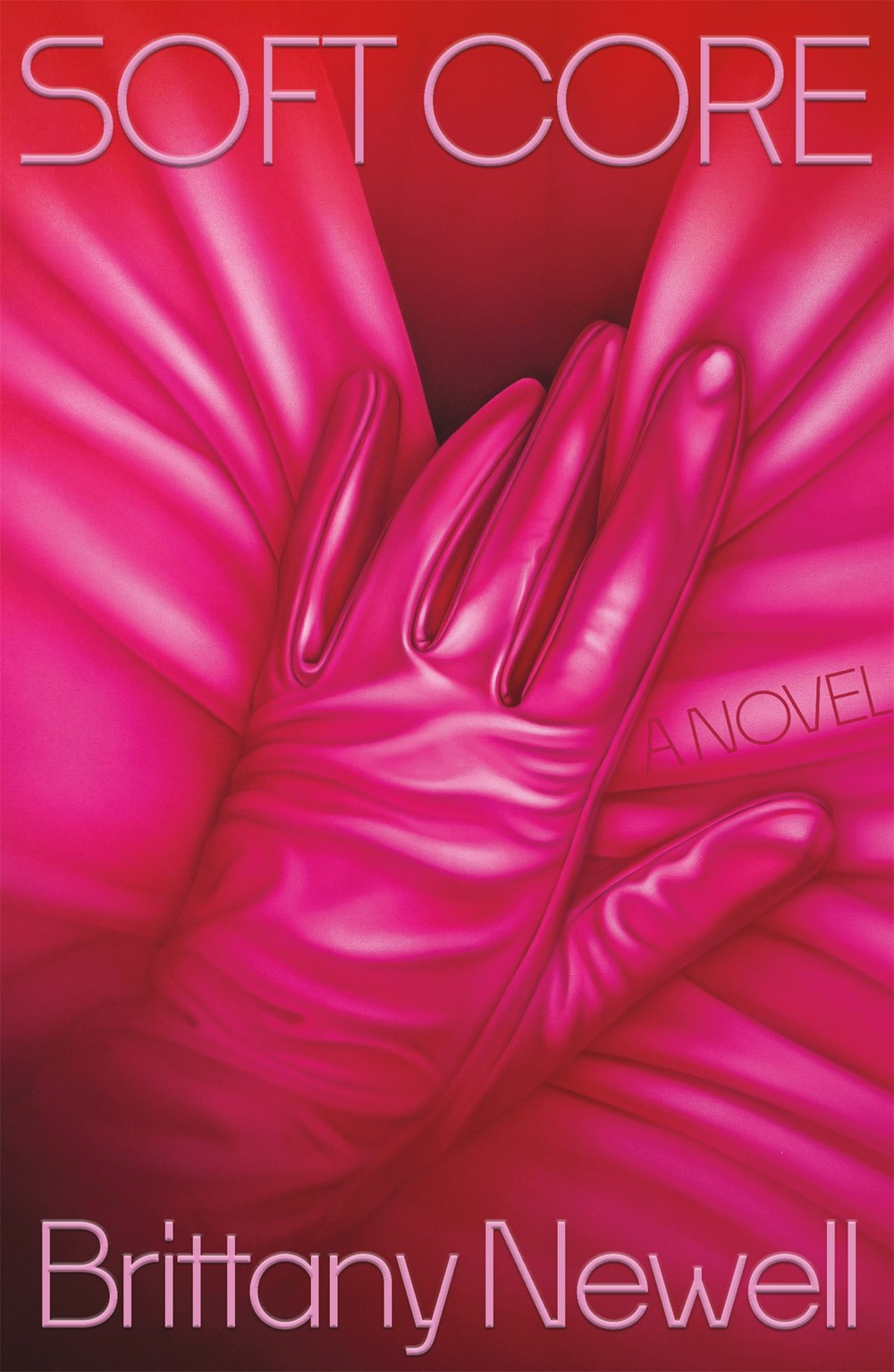 Soft Core : A Novel