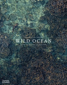 Wild Ocean:  A Journey to the Earth's Last Wild Coasts