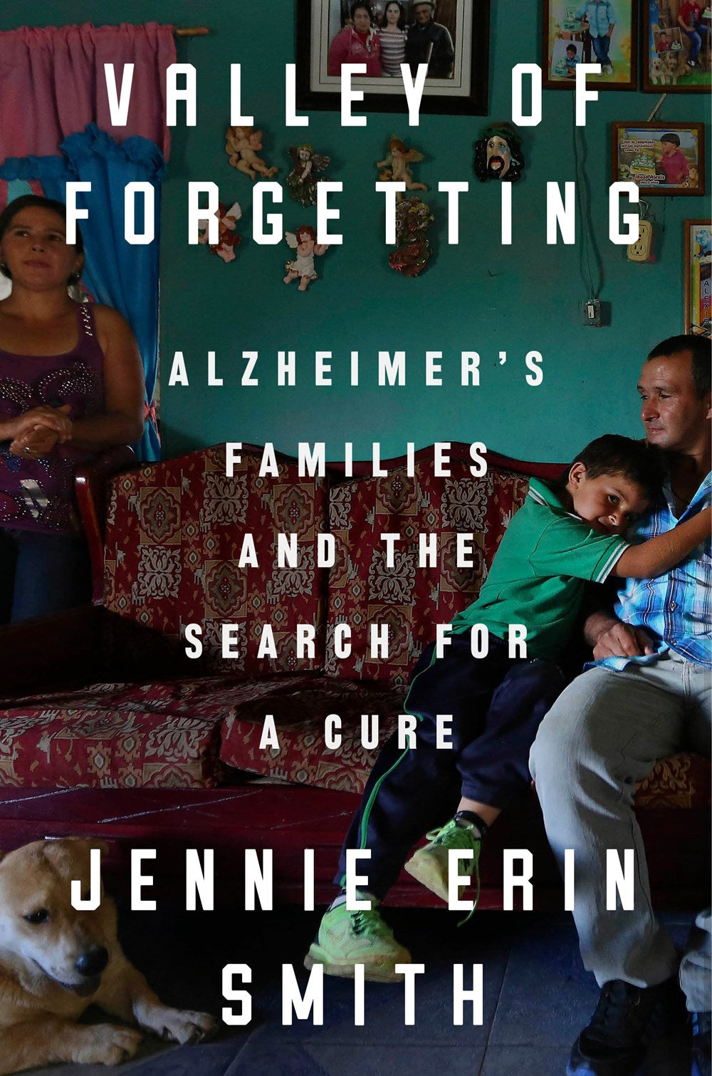 Valley of Forgetting : Alzheimer's Families and the Search for a Cure