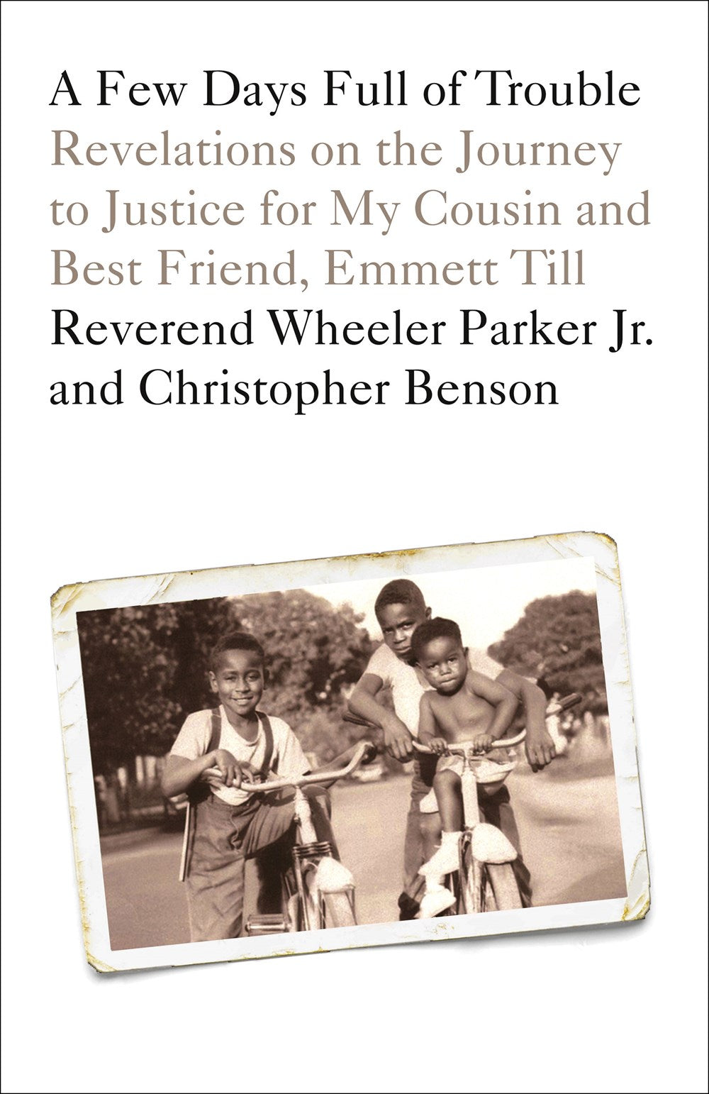 A Few Days Full of Trouble : Revelations on the Journey to Justice for My Cousin and Best Friend, Emmett Till