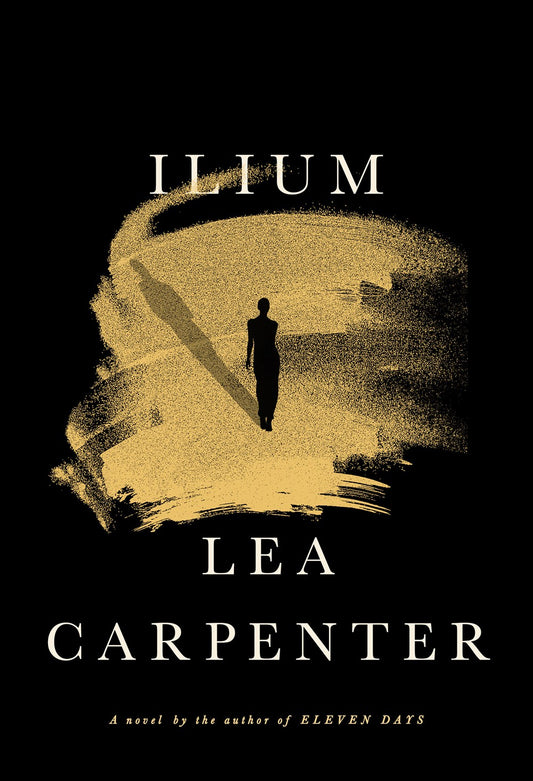 Ilium : A novel