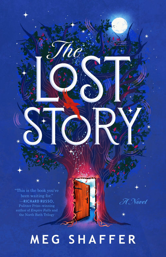 The Lost Story (Paperback)