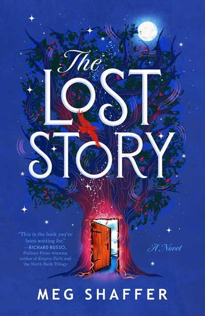 The Lost Story (Paperback)