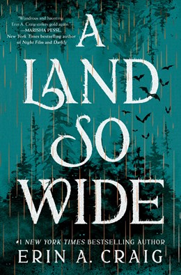 A Land So Wide: A Novel