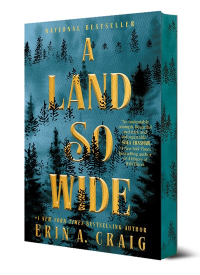A Land So Wide: A Novel