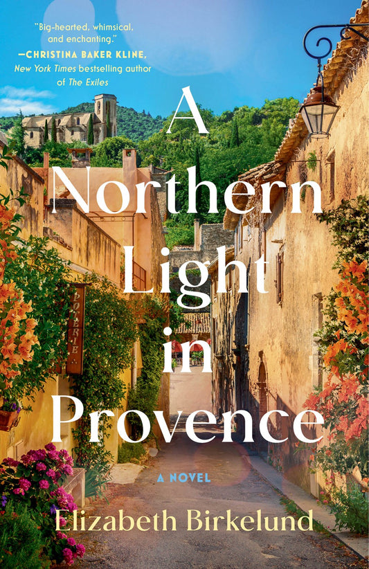 A Northern Light in Provence : A Novel