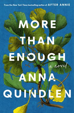 More Than Enough:  A Novel