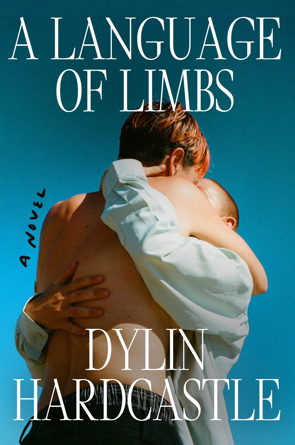 A Language of Limbs : A Novel