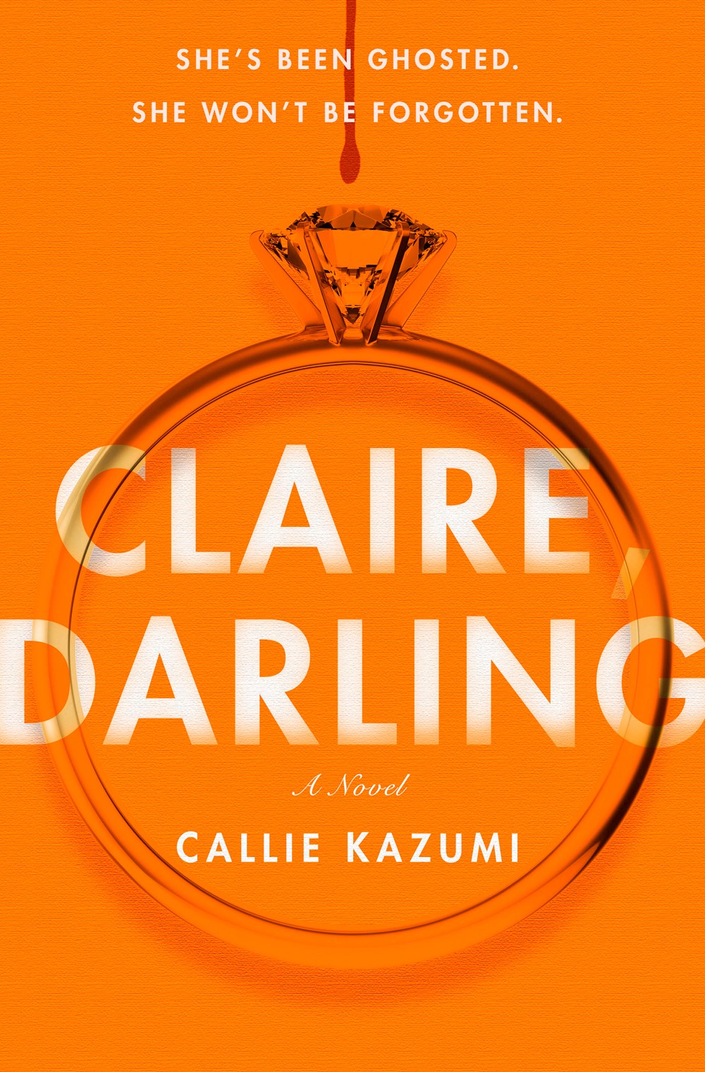 Claire, Darling : A Novel