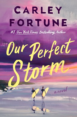 PREORDER: Our Perfect Storm