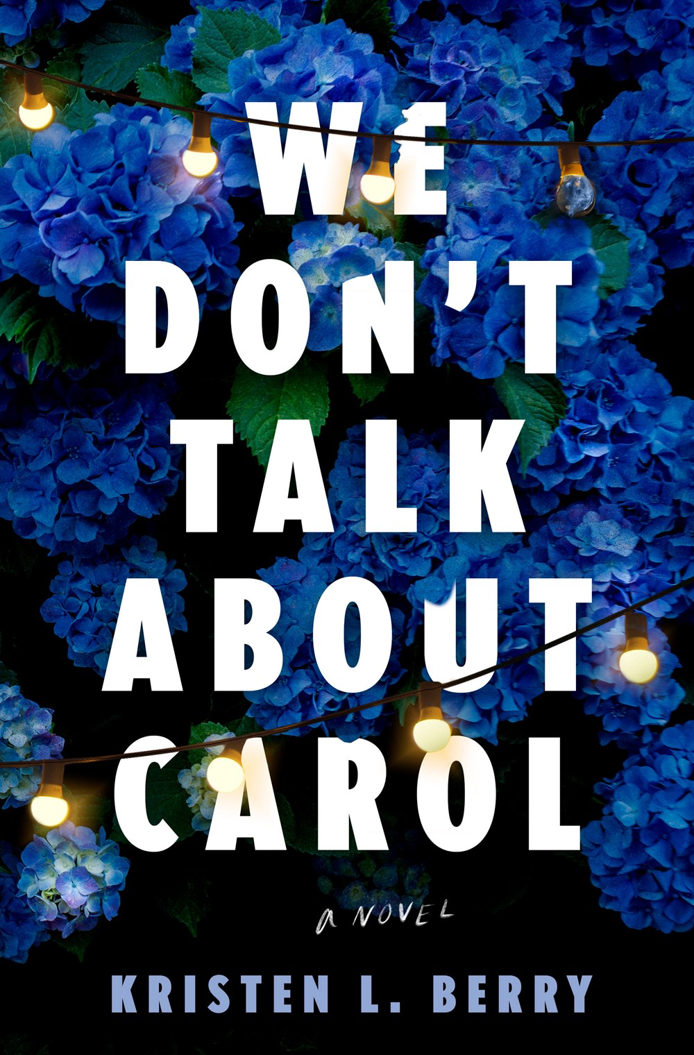We Don't Talk About Carol : A Novel