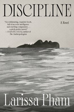 Discipline:  A Novel