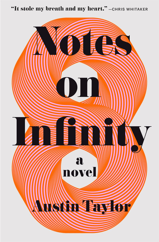 Notes on Infinity : A Novel