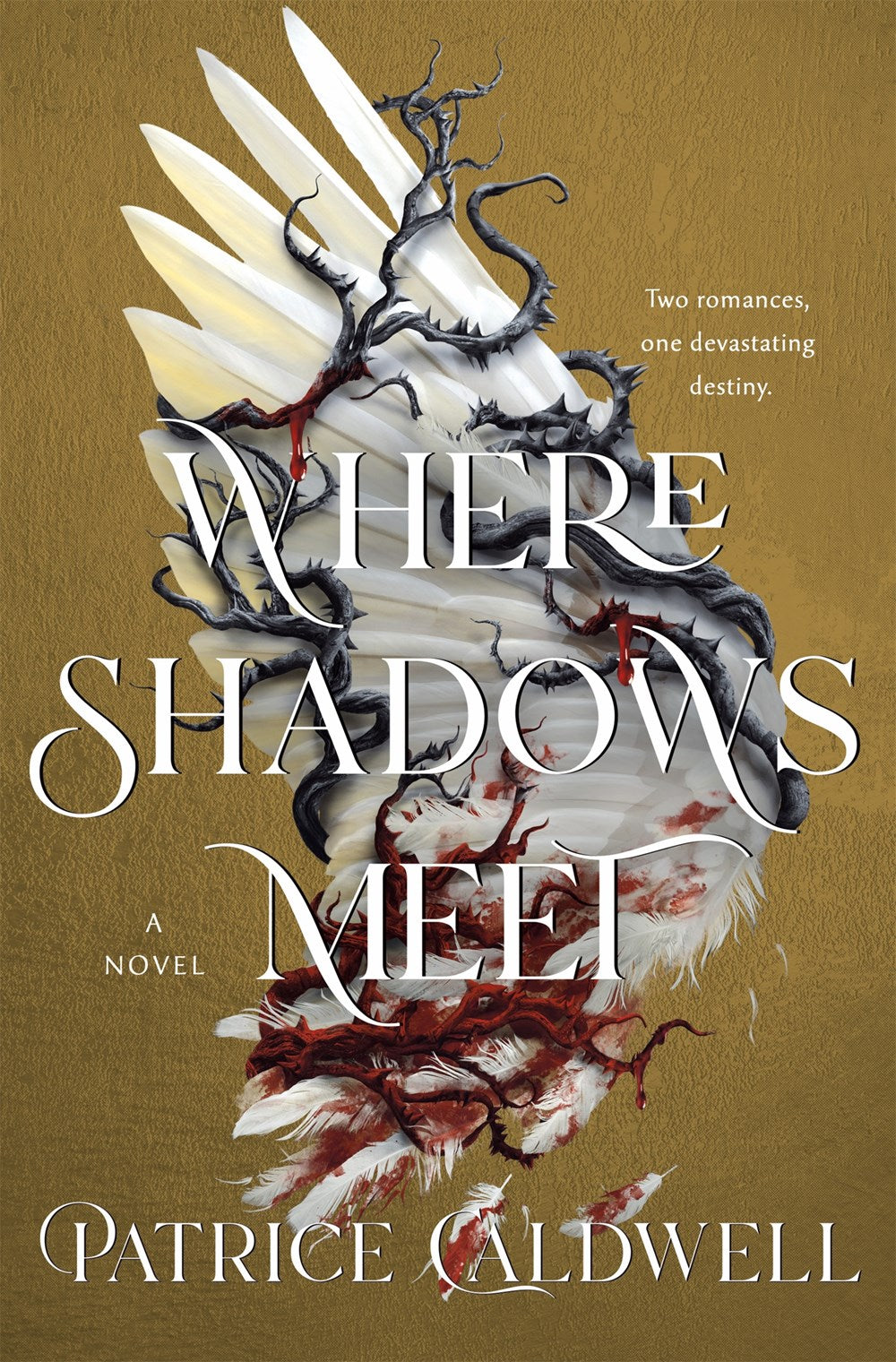 Where Shadows Meet : A Novel