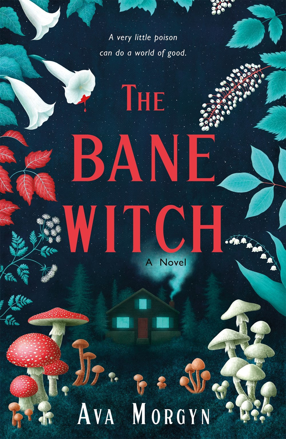 The Bane Witch : A Novel