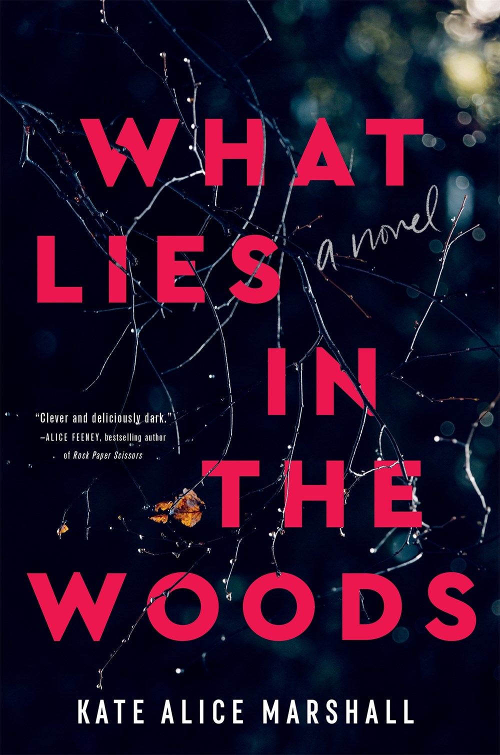 What Lies in the Woods : A Novel