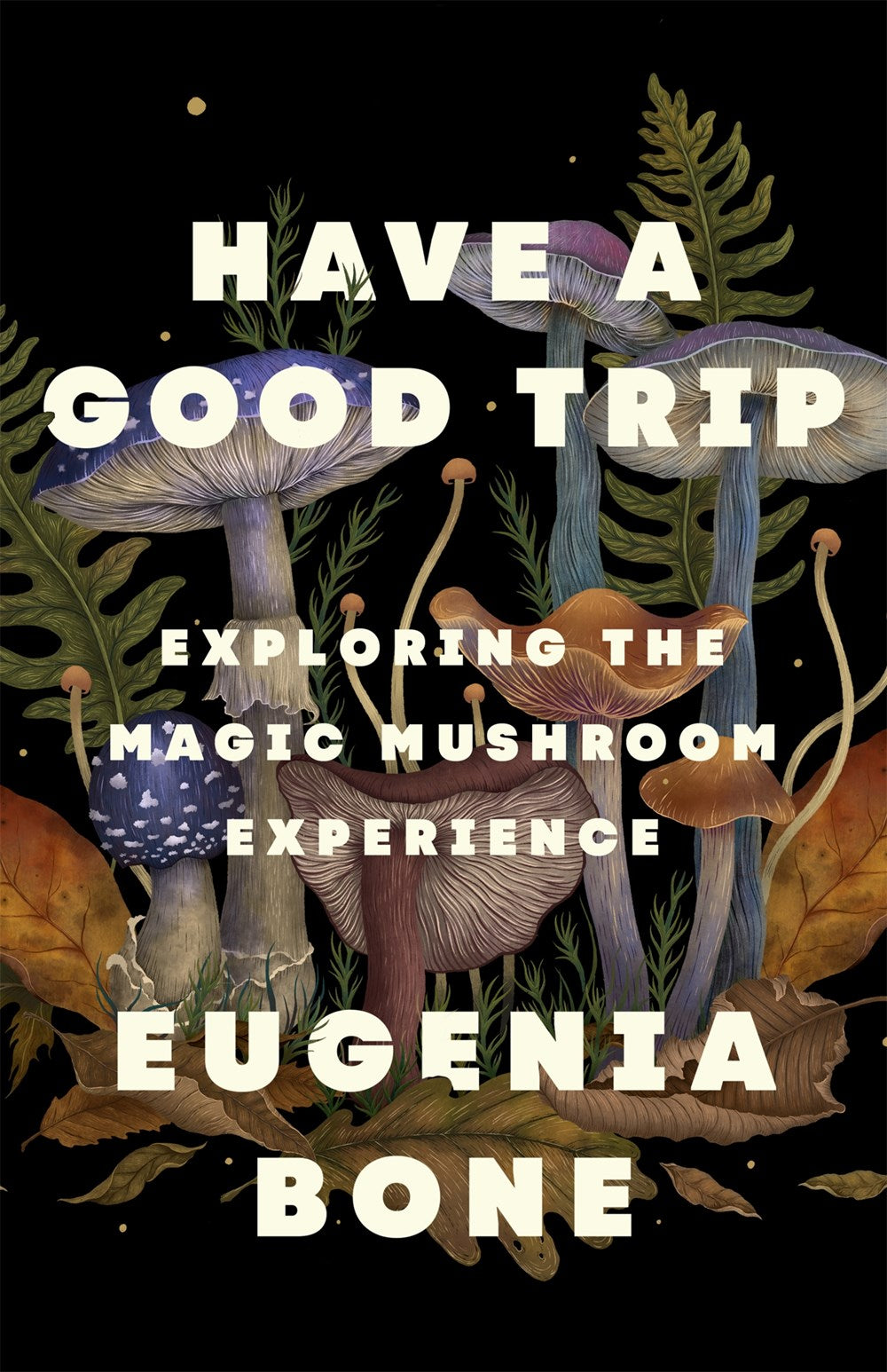 Have a Good Trip : Exploring the Magic Mushroom Experience