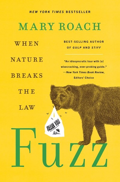 Fuzz:  When Nature Breaks the Law