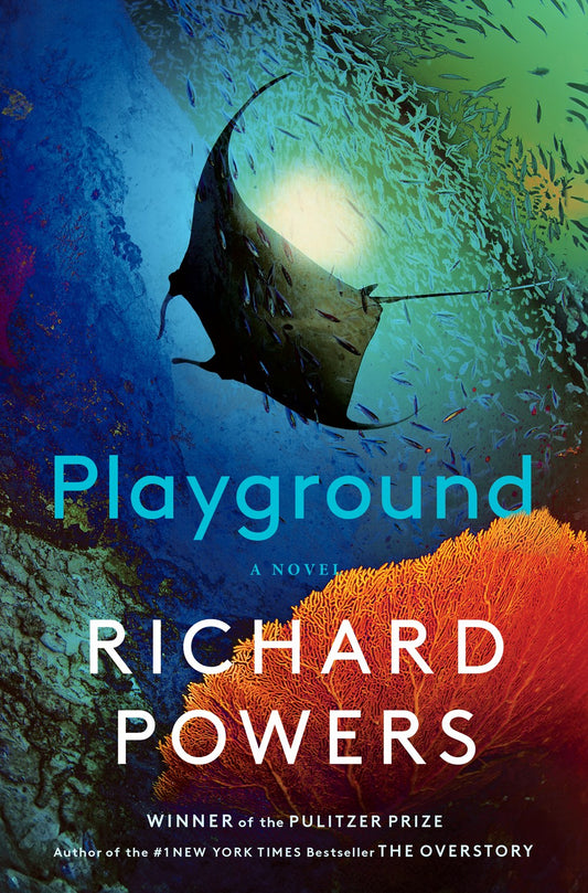 Playground : A Novel