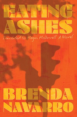 Eating Ashes:  A Novel