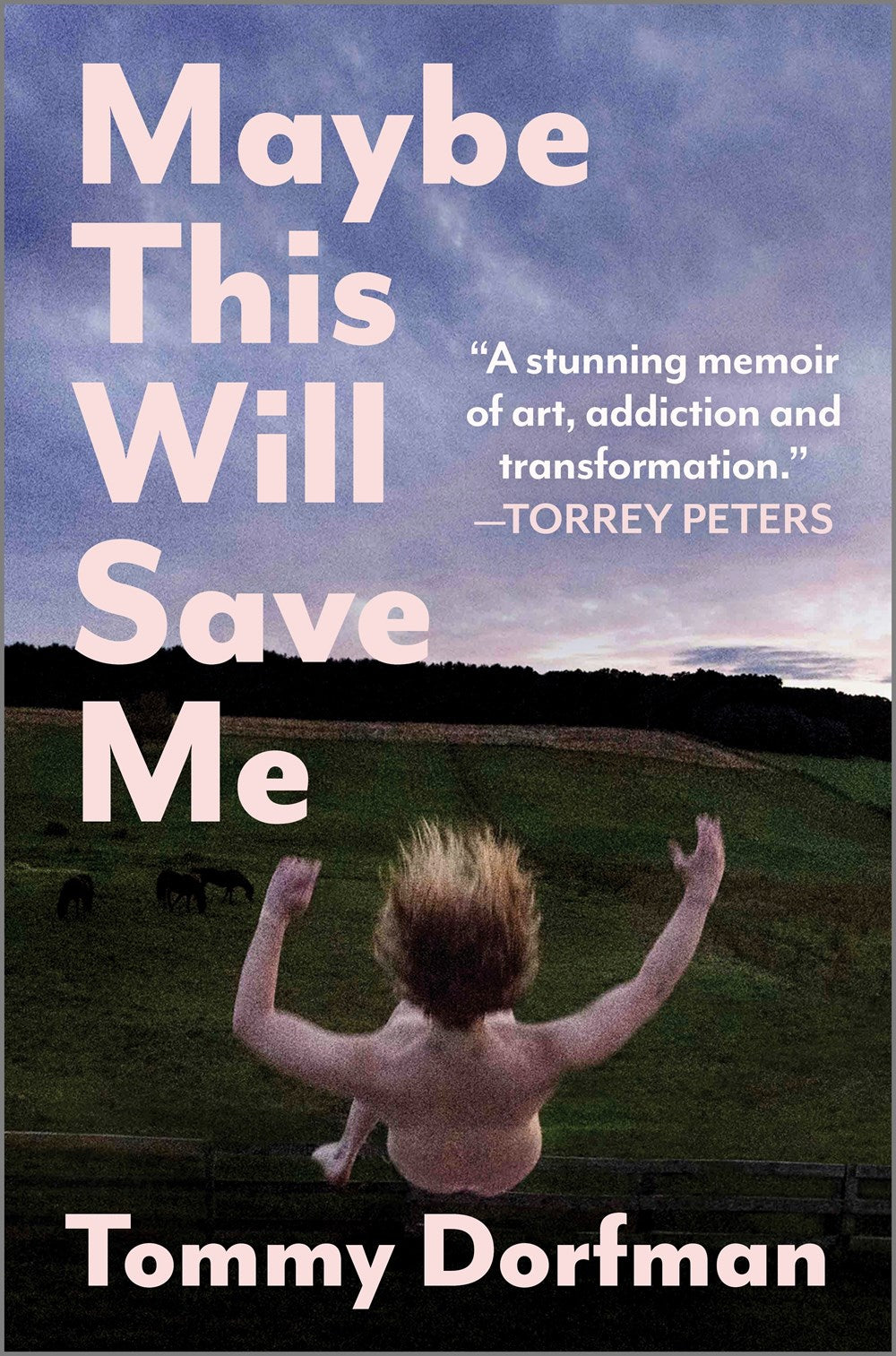Maybe This Will Save Me : A Memoir of Art, Addiction and Transformation