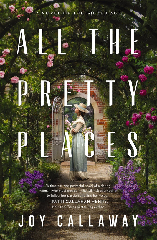 All the Pretty Places : A Novel of the Gilded Age