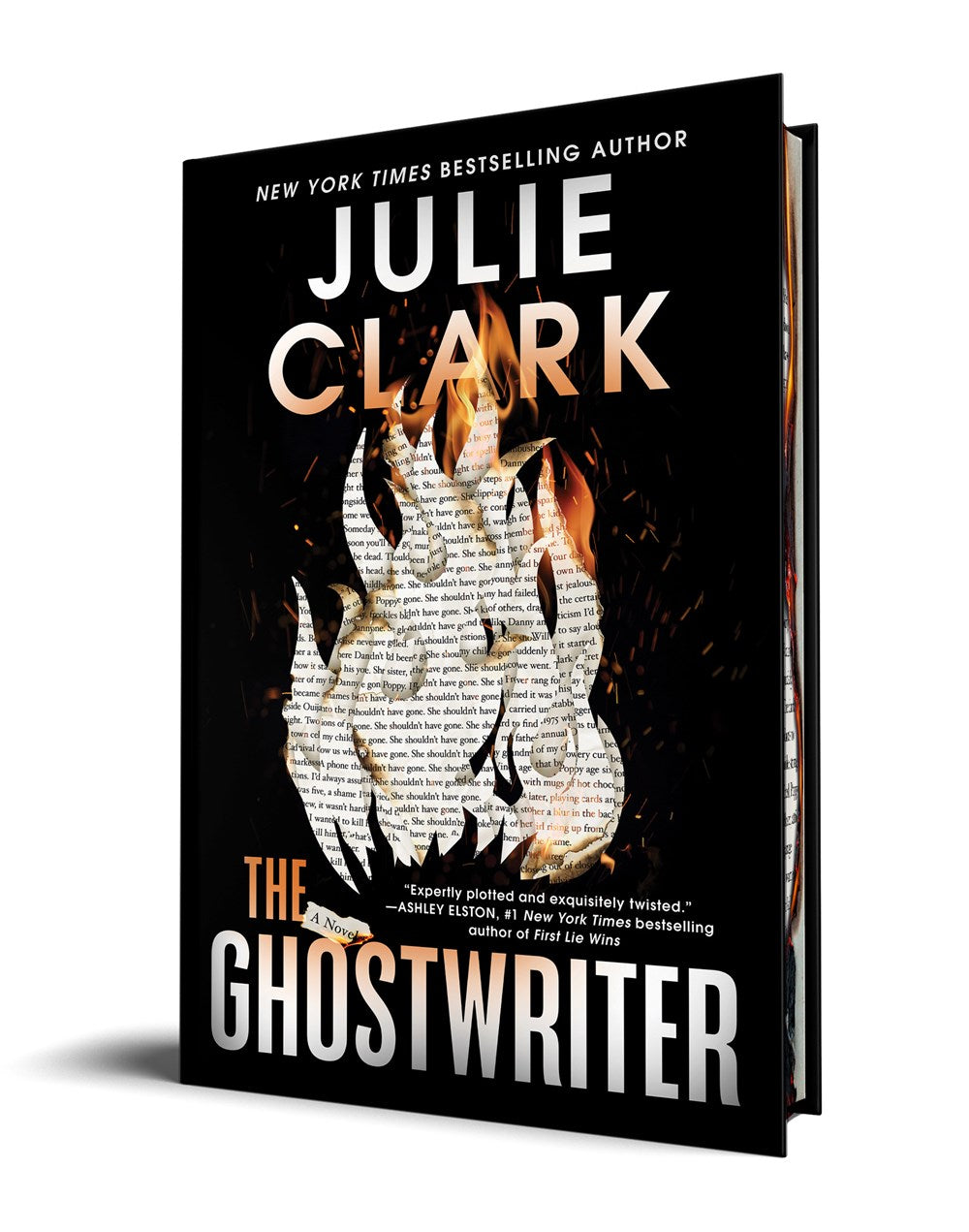 The Ghostwriter : A Novel