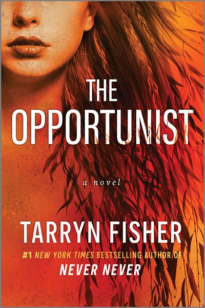 The Opportunist:  An Unconventional, Second Chance Love Story