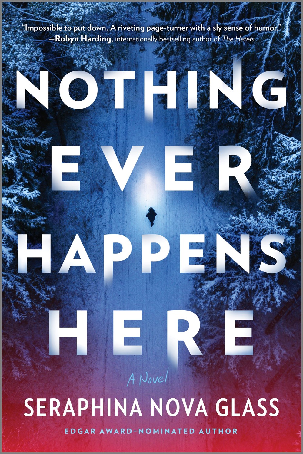 Nothing Ever Happens Here : A Thriller
