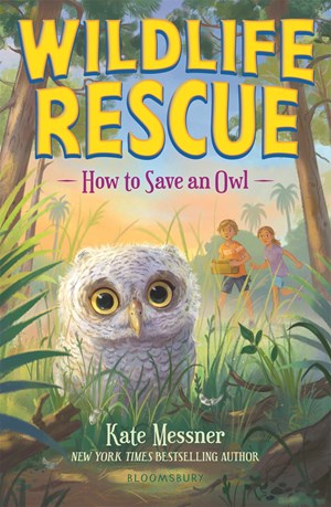 How to Save an Owl