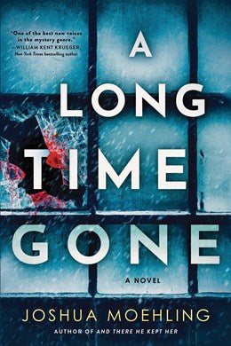 A Long Time Gone:  A Novel