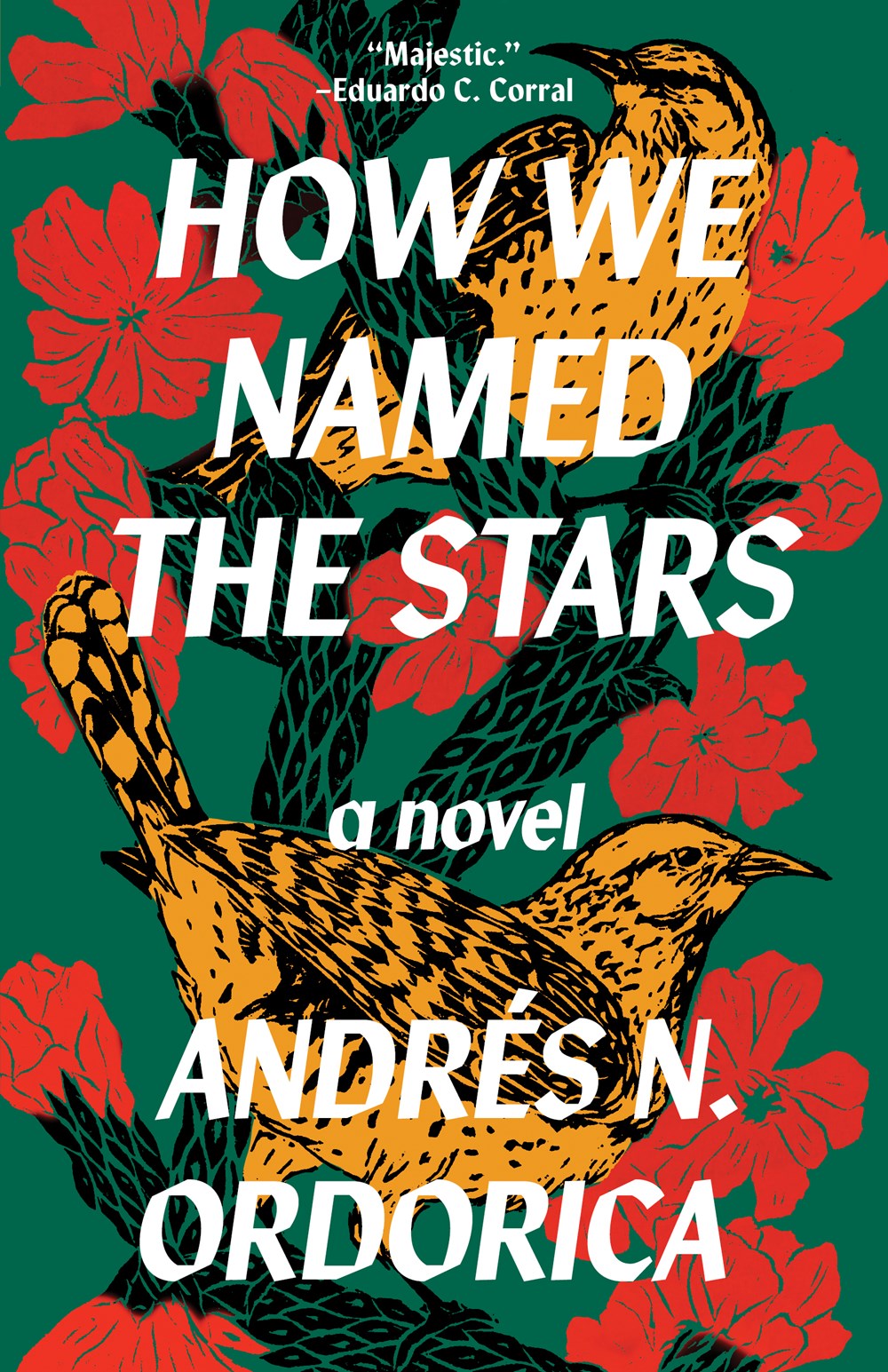 How We Named the Stars
