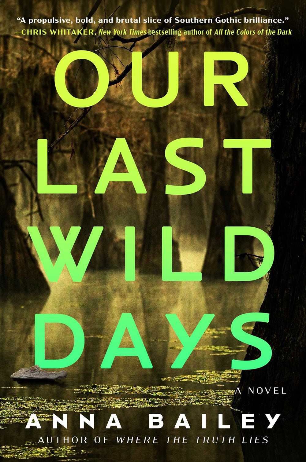 Our Last Wild Days : A Novel