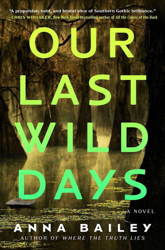 Our Last Wild Days : A Novel