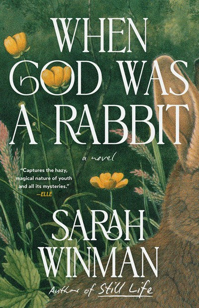 When God Was a Rabbit